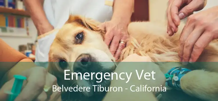 Emergency Vet Belvedere Tiburon - California