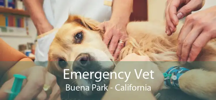 Emergency Vet Buena Park - California