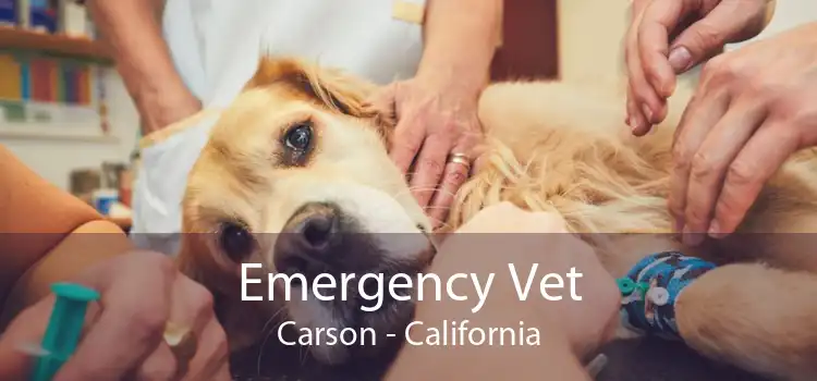 Emergency Vet Carson - California