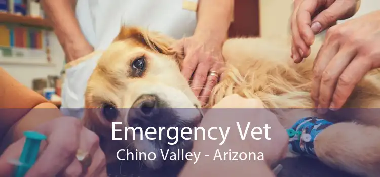 Emergency Vet Chino Valley - Arizona
