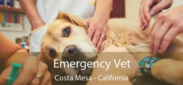 Emergency Vet Costa Mesa - California