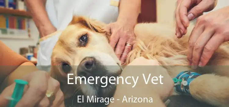 Emergency Vet El Mirage - Arizona