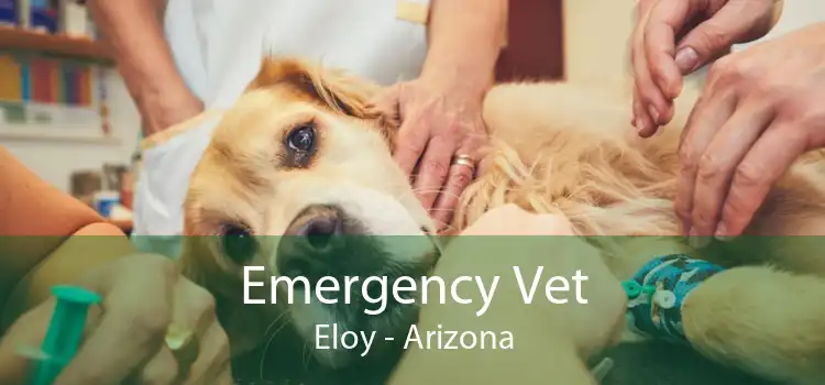 Emergency Vet Eloy - Arizona