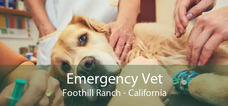 Emergency Vet Foothill Ranch - California