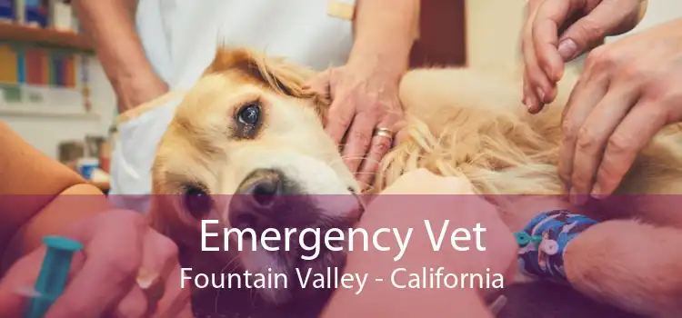 Emergency Vet Fountain Valley - California