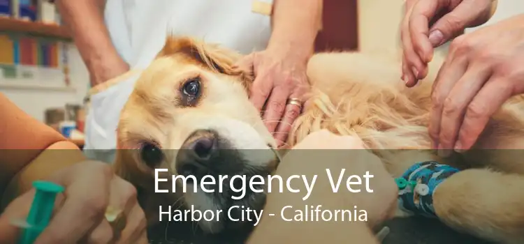 Emergency Vet Harbor City - California