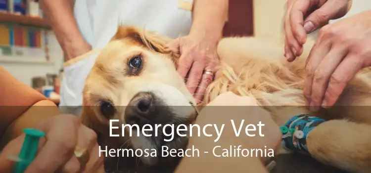 Emergency Vet Hermosa Beach - California
