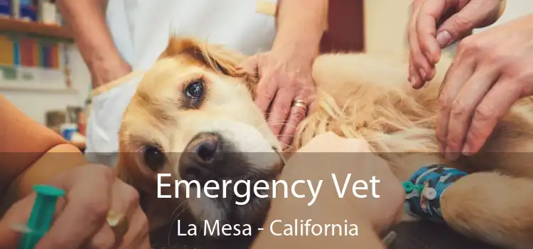 Emergency Vet La Mesa - California