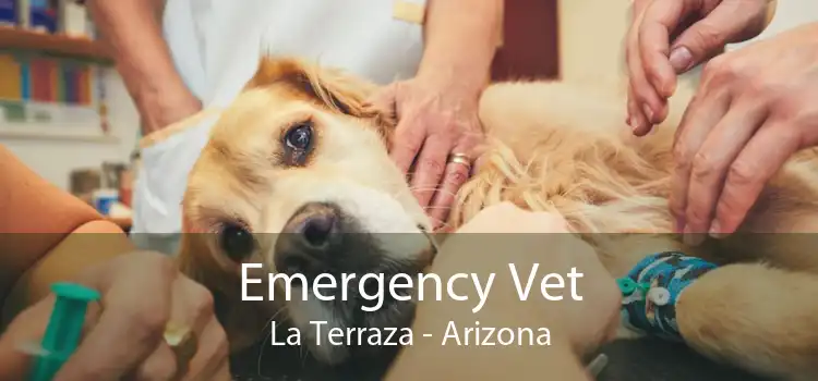 Emergency Vet La Terraza - Arizona