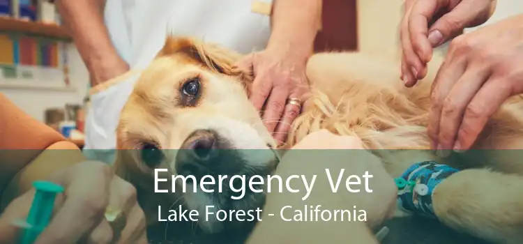 Emergency Vet Lake Forest - California