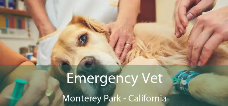 Emergency Vet Monterey Park - California