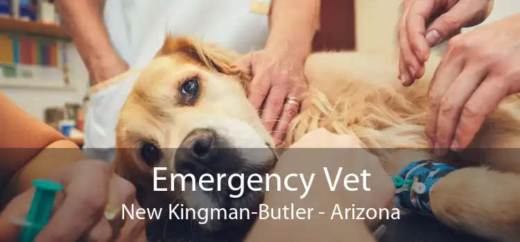 Emergency Vet New Kingman-Butler - Arizona
