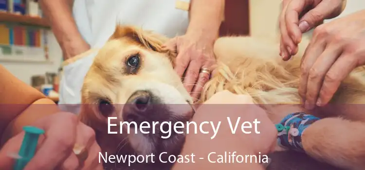 Emergency Vet Newport Coast - California