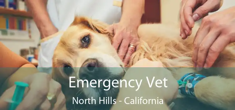 Emergency Vet North Hills - California