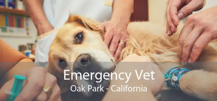 Emergency Vet Oak Park - California
