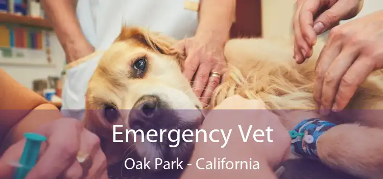 Emergency Vet Oak Park - California