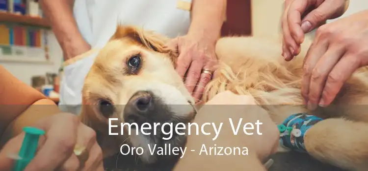 Emergency Vet Oro Valley - Arizona