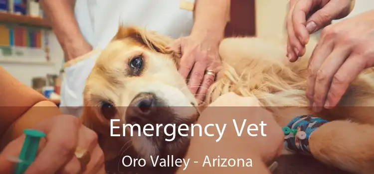 Emergency Vet Oro Valley - Arizona