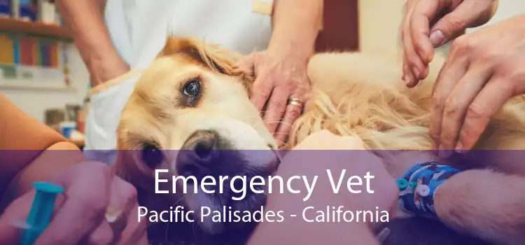 Emergency Vet Pacific Palisades - California