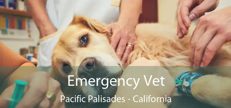 Emergency Vet Pacific Palisades - California