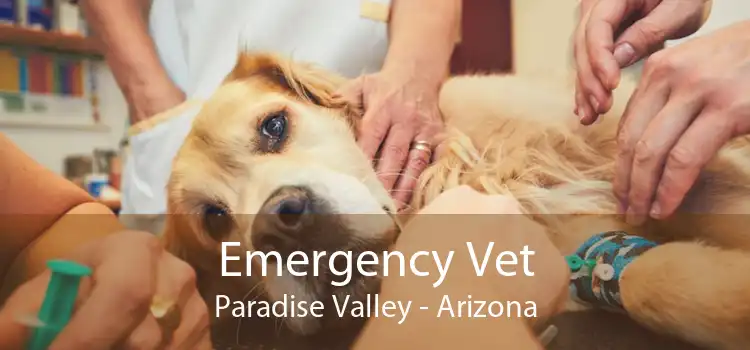 Emergency Vet Paradise Valley - Arizona