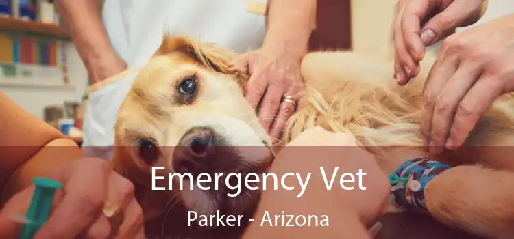 Emergency Vet Parker - Arizona