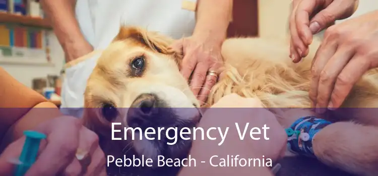 Emergency Vet Pebble Beach - California