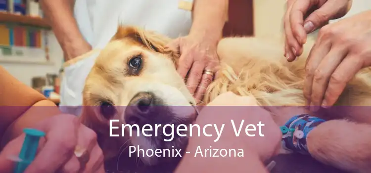 Emergency Vet Phoenix - Arizona