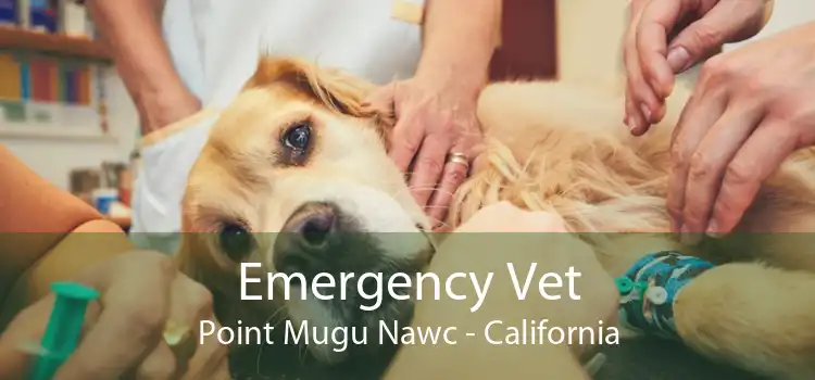 Emergency Vet Point Mugu Nawc - California
