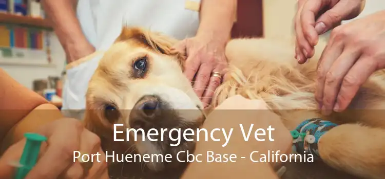 Emergency Vet Port Hueneme Cbc Base - California