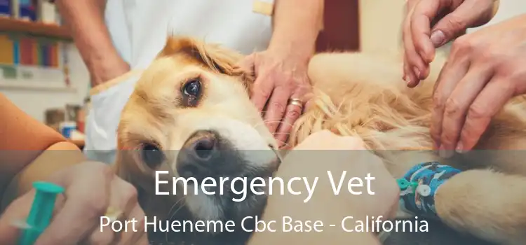 Emergency Vet Port Hueneme Cbc Base - California