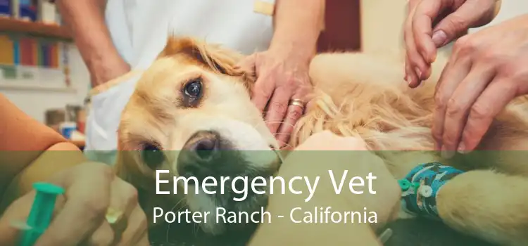 Emergency Vet Porter Ranch - California