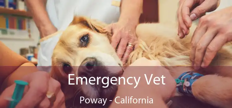 Emergency Vet Poway - California