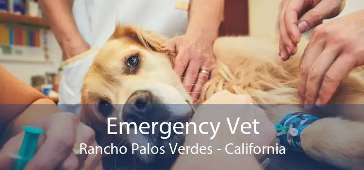 Emergency Vet Rancho Palos Verdes - California