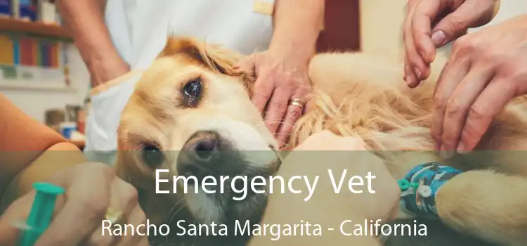 Emergency Vet Rancho Santa Margarita - California