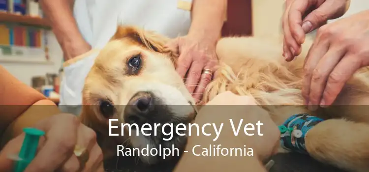 Emergency Vet Randolph - California