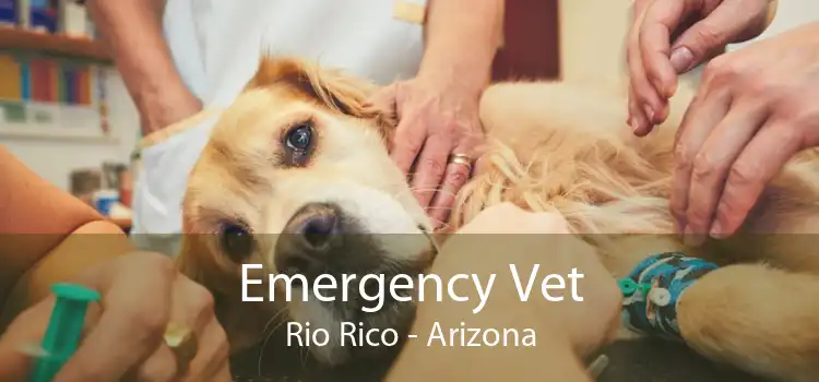 Emergency Vet Rio Rico - Arizona