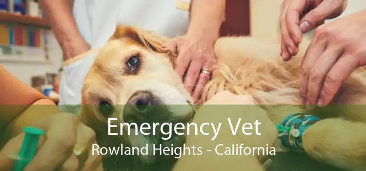 Emergency Vet Rowland Heights - California