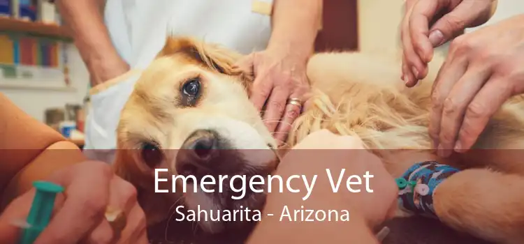 Emergency Vet Sahuarita - Arizona
