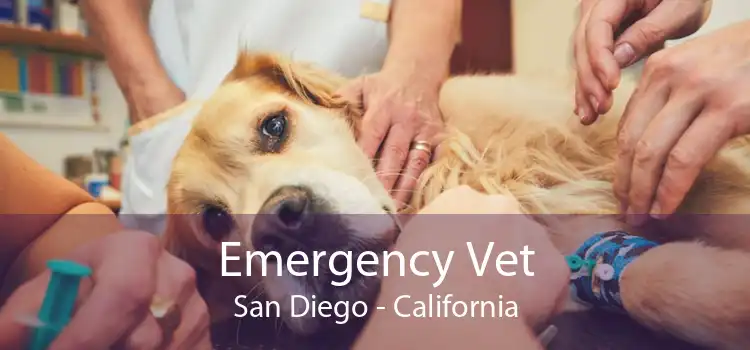 Emergency Vet San Diego - California