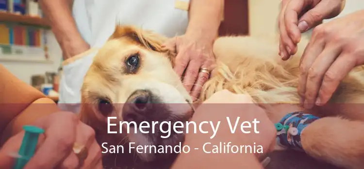 Emergency Vet San Fernando - California