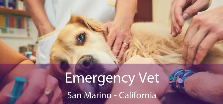 Emergency Vet San Marino - California