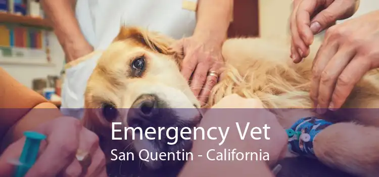 Emergency Vet San Quentin - California