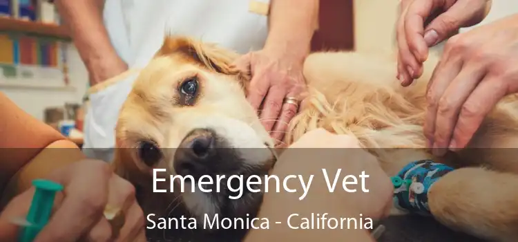 Emergency Vet Santa Monica - California