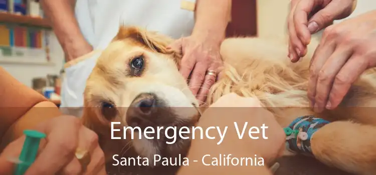 Emergency Vet Santa Paula - California