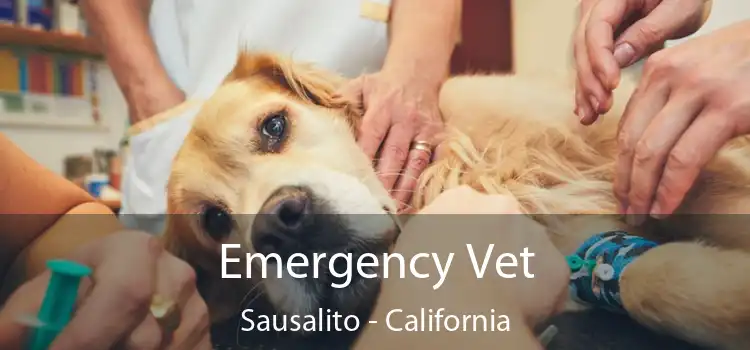 Emergency Vet Sausalito - California