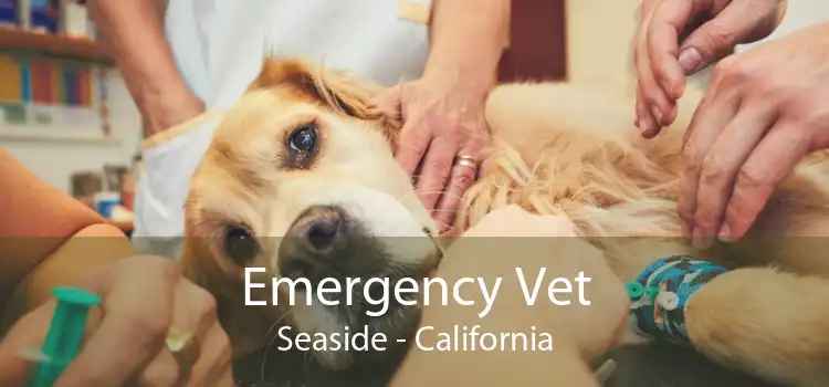 Emergency Vet Seaside - California