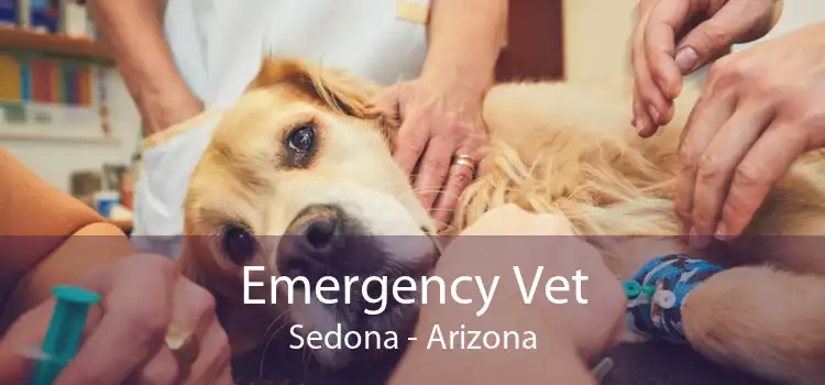 Emergency Vet Sedona - Arizona