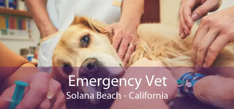Emergency Vet Solana Beach - California