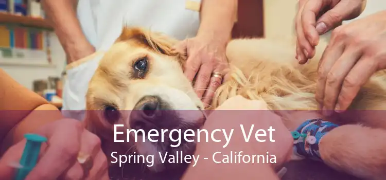 Emergency Vet Spring Valley - California